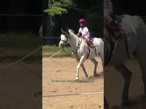 Spam lol #equestrianriding #horse #smalljump #miniaturehorse #flipy #equestrian #minihorse #pony