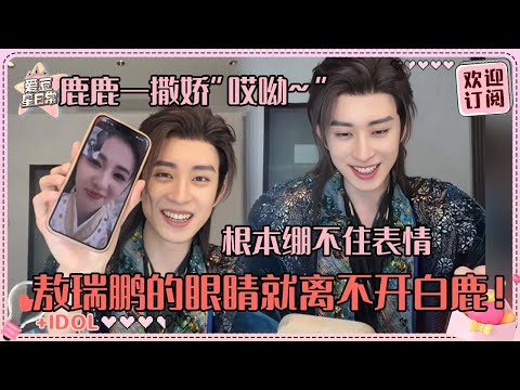 [MultiSub]敖瑞鹏直播含白鹿量80%！听鹿鹿的话努力稳重的敖子真的像小狗~鹿鹿打来视频更是家属感得没边了#白鹿 #敖瑞鹏 #白月梵星 #爱豆星日常