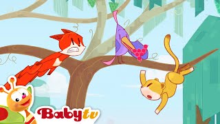 A Grape Adventure! 🍇 Who Will Win the Race? @BabyTV
