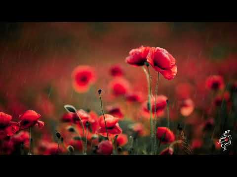 🌸 Romantic Spanish Guitar Love Songs | Classical Guitar with Garden Flowers 🌹Esteban