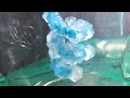Crystallization Experiment Concepts