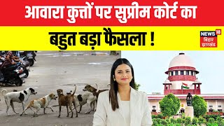 Supreme Court On Stary Dogs : आवारा कुत्तों के आतंक पर सुप्रीम कोर्ट सख्त | Breaking News | N18V