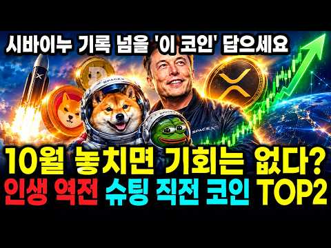 시바이누 넘어설 '이 <strong>코인</strong>' 미국 세력의 결정적 <strong>AI</strong> 힌트! 랠리 직전 <strong>코인</strong> TOP2