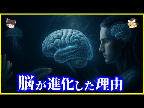 【ゆっくり解説】人間の脳は小さくなっている!?7億年続く「脳」の進化史を解説/哺乳類の脳が進化した理由とAI時代の進化の行方