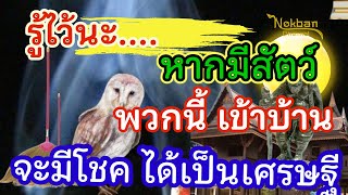 สังเกตให้ดี หากมีสัตว์ชนิดนี้เข้าบ้าน เตรียมรวย เป็นเศรษฐี ถูกหวยแน่ๆ