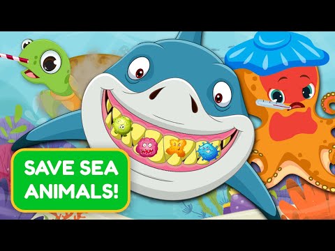 Saving Sea Animals | Keiki