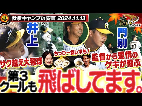 【11月13日秋季キャンプ】今日から第3クール！井上が今日も飛ばしてます！門別は監督から熱血指導！ちっひーの食レポもございます！阪神タイガース密着！応援番組「虎バン」ABCテレビ公式チャンネル