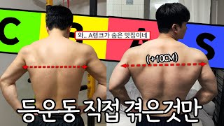 10년동안 직접 겪었던 등운동 티어는 이렇네요 [등운동 티어리스트]