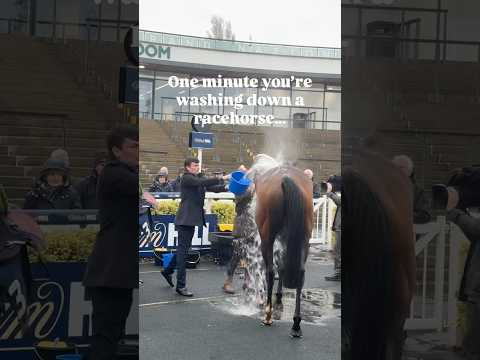 All in a day’s work for Willy Twiston-Davies 🦸‍♂️