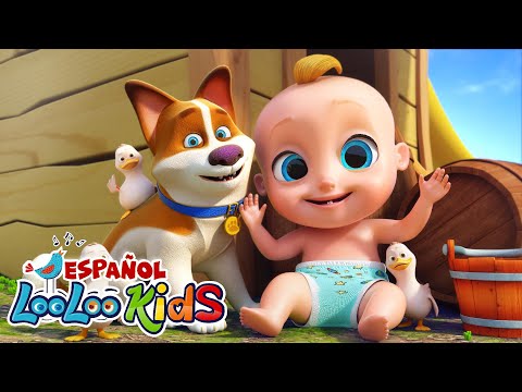 ¡BINGO! perro ♫ Canciones Infantiles ♫ Aprende los animals | Musica para niños - LooLoo Kids