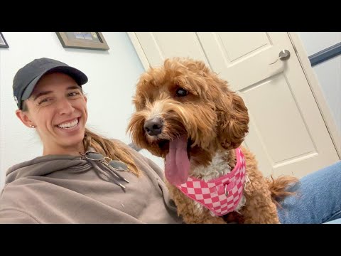 ANOTHER Surprise Vet Visit
