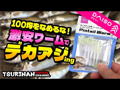 【アジ爆釣】100均をなめちゃダメ!激安でもこんなに釣れる初夏のデカアジング