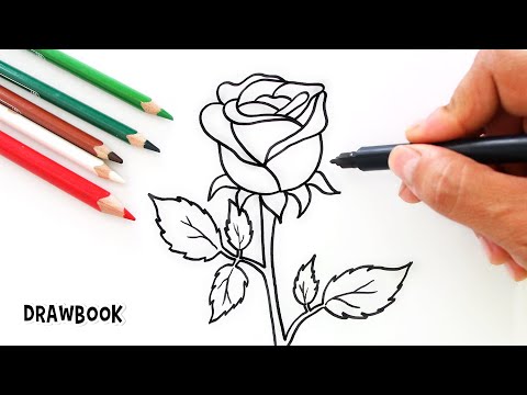 How to Draw and Color a ROSE