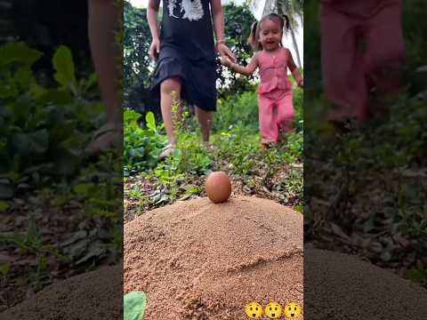 Hey, what a beautiful egg! This is my egg!#shorts #viralshorts