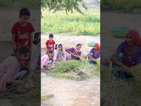 Rajasthani village culture 😱#shortsvideo #comedy