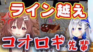 【ライン越え】ころさんのことをコオロギ先輩と呼んでしまうかなたん【ホロライブ切り抜き/天音かなた/戌神ころね】