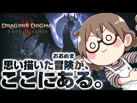 【クリア後】真のラスボスを簡単に周回する為の装備を求め、真のラスボスを周回します【ドラゴンズドグマ2 ダークアリズン】※ネタバレ注意