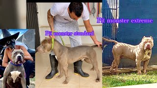 Quais a diferença dos pit monster. Standard e extreme