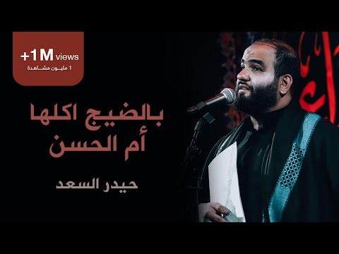 بالضيج اكلها ام الحسن | الرادود حيدر السعد