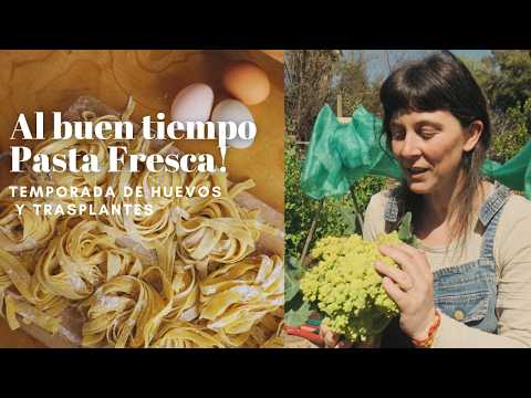 Las Gallinas vuelven a poner Huevos | Al buen tiempo Pasta Fresca! Huevos y Trasplantes!