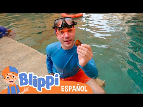 Blippi y su aventura acuatica 💧💦 Blippi Español | Videos educativos para niños | Aprende y Juega