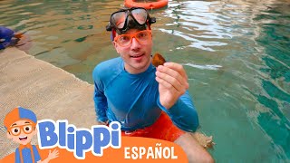 Blippi y su aventura acuatica 💧💦 Blippi Español | Videos educativos para niños | Aprende y Juega