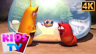 Larva - Akwarium Kłopoty 🐠 | Zabawna kreskówka dla Dzieci 😂