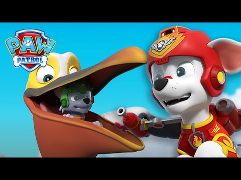 Marshall não consegue parar de fazer este pelicano rir - Patrulha Pata PAW Patrol Episódio Português