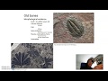 Dating Fossils and Evolution Concepts