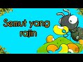 Ant Behavior and Habitats