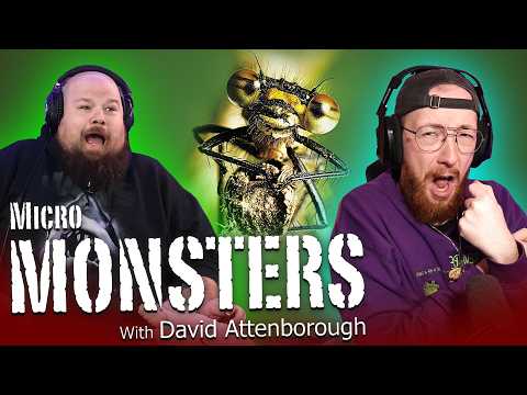 Men Watch Planet Earth (David Attenborough's Micro Monsters) | MOVIE REACTION