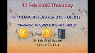 Gold #xauusd #bitcoin and Oil Intraday Analysis 12 Feb 2026