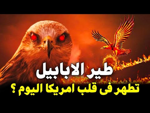 السبب الحقيقي لحرائق لوس انجلوس وكاليفورنيا بامريكا وظهور طير الابابيل المذكورة بالقران قبل 1400عام