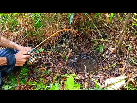 PEMANCING IKAN LEMBAT | MANCING IKAN LEMBAT DAPAT SEDANG DI LUBANG MISTERIUS | fishing 2025