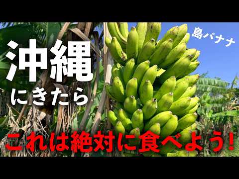 沖縄に来たら「これ」は絶対に食べよう!!!!!