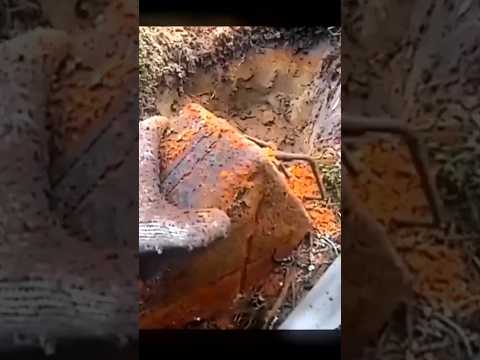 Not so fast? #magnetfishing #satisfying #insane #crazy #cool #fyp #explore #fypシ゚viral #funny #wow