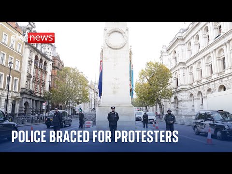 Israel-Hamas: Met Police braced for thousands of pro-Palestinian protesters on Armistice Day