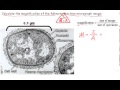 Calculating Magnification and Units
