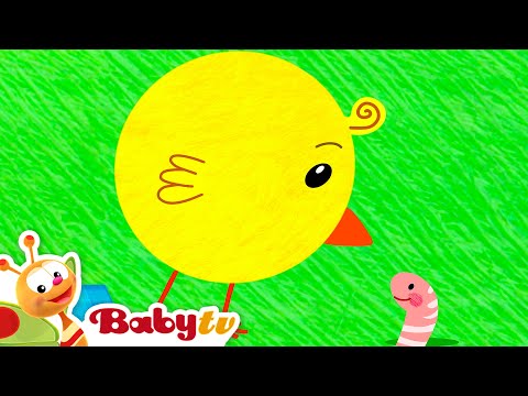 Os Pintinhos Piam 🐥🎶 | Canções e Rimas Infantis @BabyTVPT