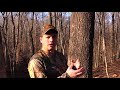 Identifying Oak Tree Characteristics