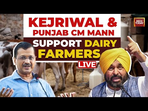 Arvind Kejriwal LIVE: Kejriwal & Punjab CM Mann's Support Dairy Farmers | Mahapanchayat |India Today