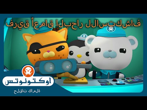 أوكتونوتس | 🐠 فريق أعماق البحار للاستكشاف 🤿 | حلقات مجمعة