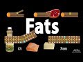 Understanding Fats and Their Impact on Health