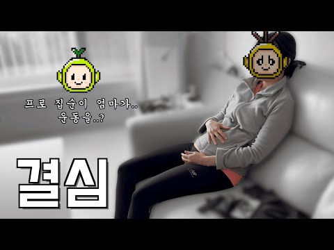 2세를 위해 운동을 결심한 집순이 개발자 예비 엄마 / 뚜기를 위한 선물 / 새 로봇 청소기 장만