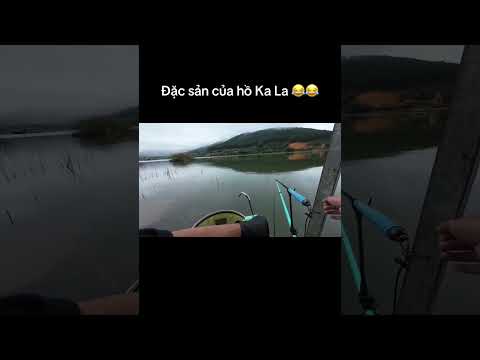 Đặc sản hồ Ka La mà anh em câu cá nào cũng ... ngán 😂 #ducauky #caucatunhien #cauca #camtrai #kala
