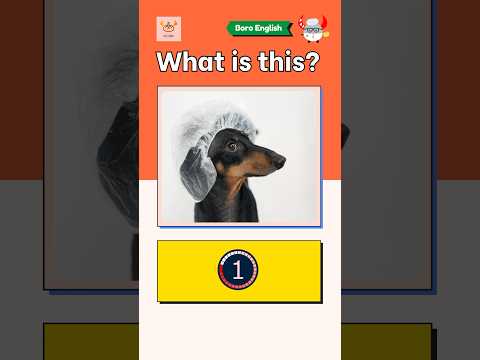 【What is this?】English Vocabulary #englishvocabularyforbeginners #shorts #reels #英文單字 #英語學習 #圖像記憶