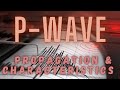 Understanding P Waves in Earthquakes