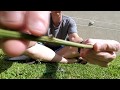Understanding Ora Pro Nobis Cultivation