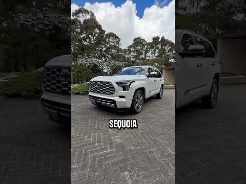 La mamá de los pollitos de Toyota