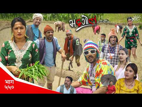 Bhadragol | भद्रगोल | Ep 550 | Yadav, Drona, Sarape, Theuke | Nepali comedy | Media Hub